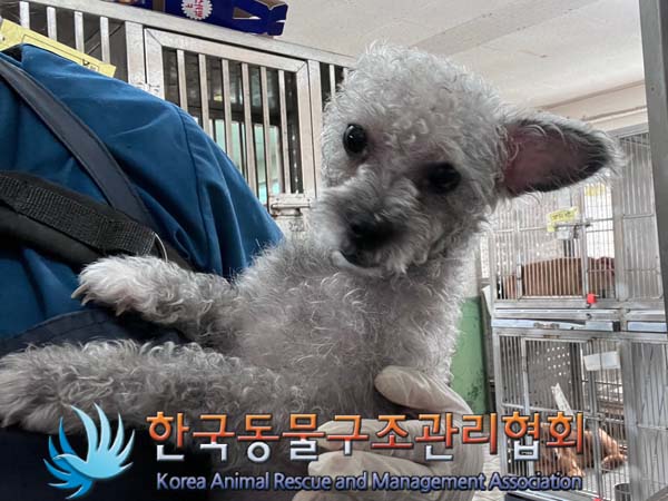 한국동물구조관리협회_441382202400757